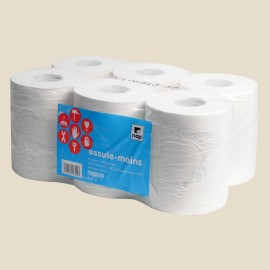 Essuie-mains papier en bobine 2 épaisseurs 450 feuilles